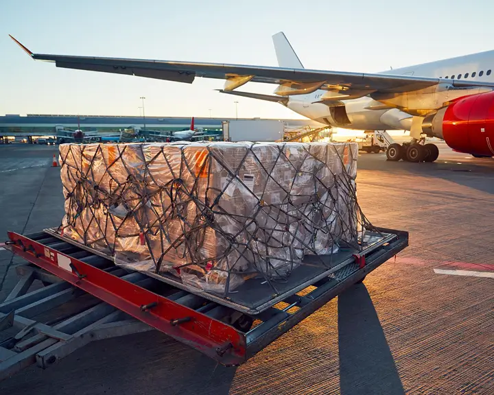 Head of Logistics Operations Portrait